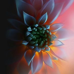 Meet your Posher, Tamara